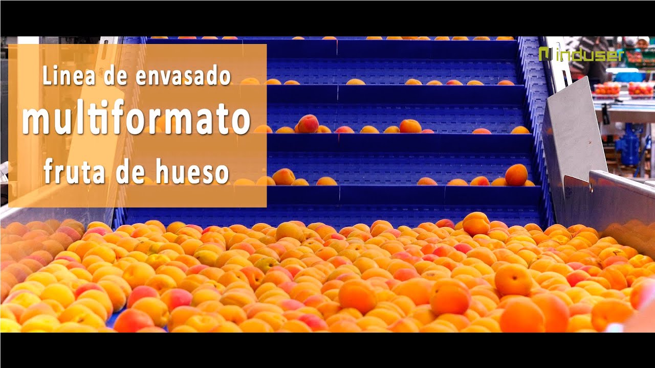 Envasadora Multiformato Fruta Hueso Aragón