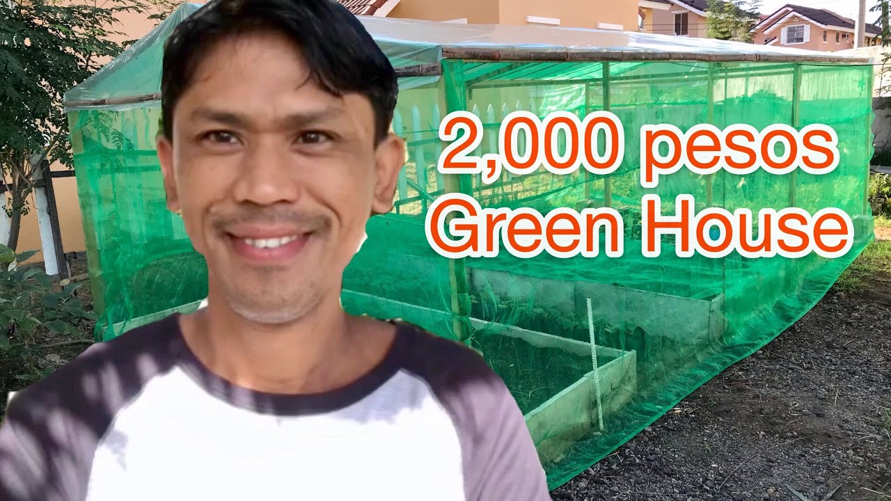 Pinoy Improvise Green House na Pang low- budget pero Termite Proof.