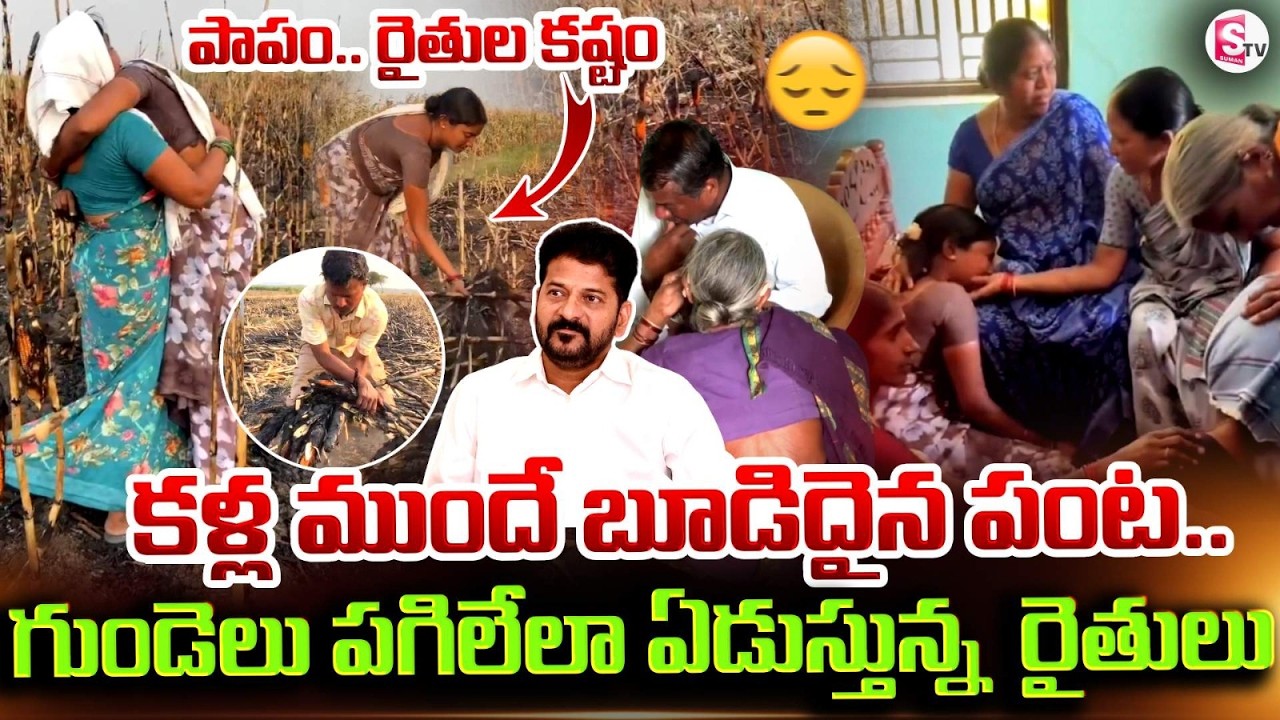 Sad.. Farmers' hardship turns to ashes | Maize Crop burnt by fire in Nirmal District | SumanTV De...