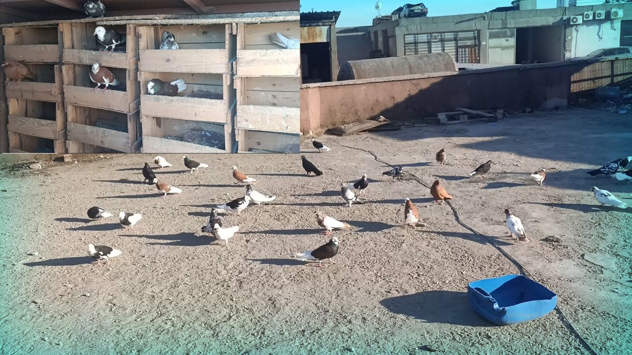 BU DOLAPÇILAR DÖNEKLERİ BOZAR MI MÜKEMMEL DÖNEN DOLAPCI !!!!