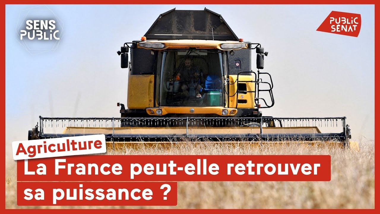 Agriculture : la France peut-elle retrouver sa puissance ?