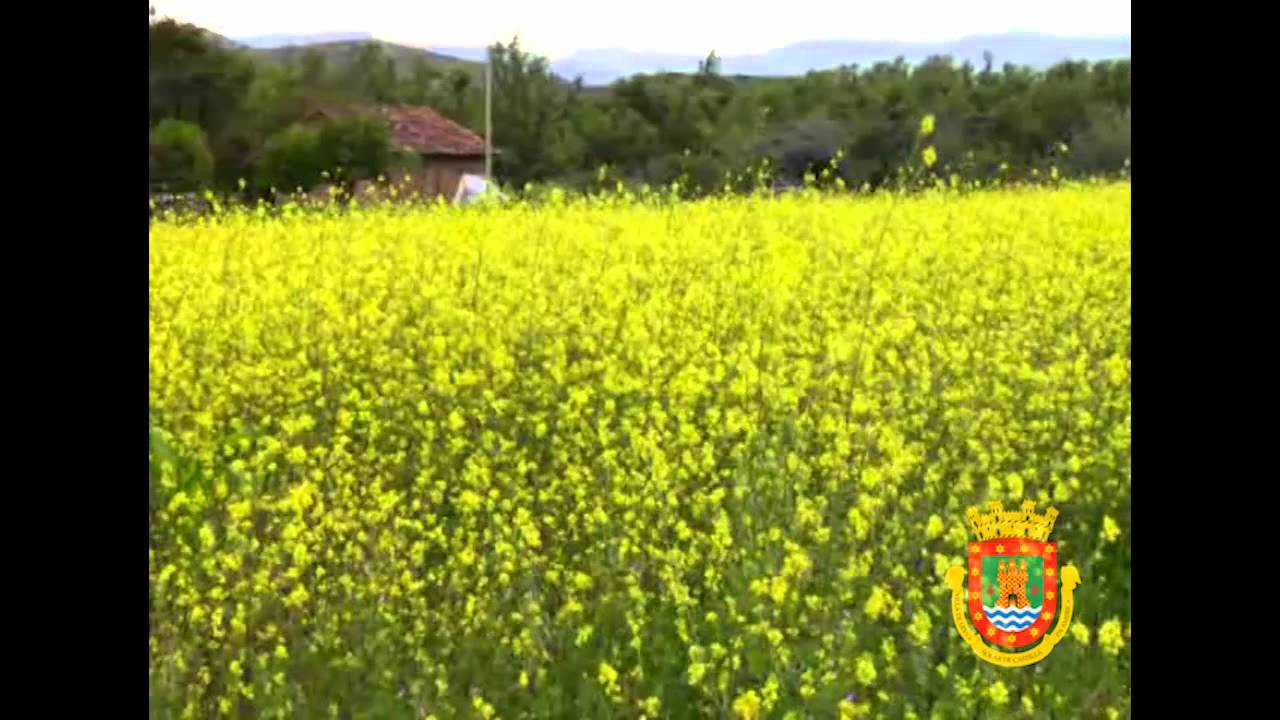 Villa de Leyva. Video Turístico Oficial. Parte 3. Legado Cultural