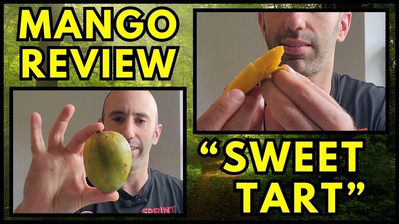Mango Review: Sweet Tart!