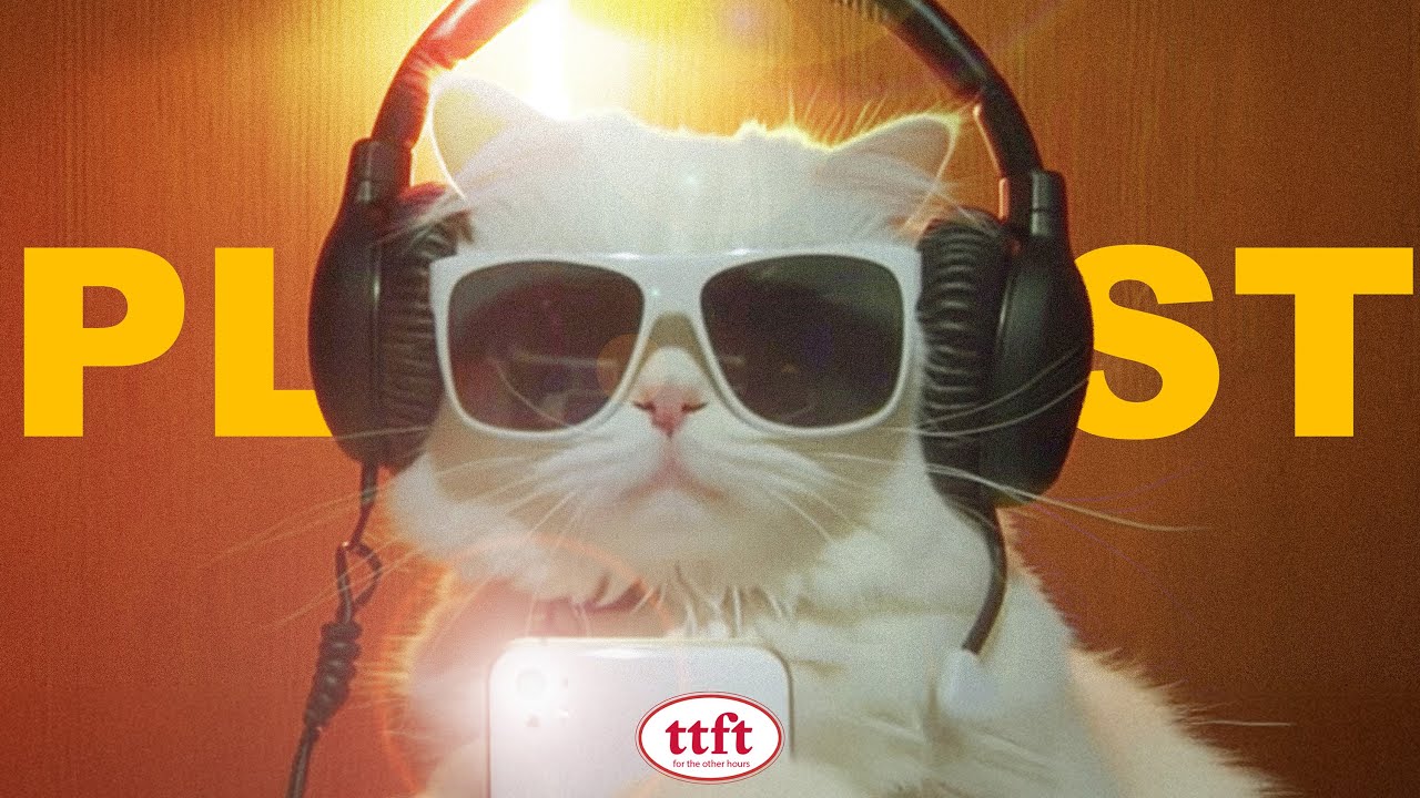 [Playlist] Всё решает настрой 😎 | Босс, что это за трек? | GROOVE POP | Laid-back