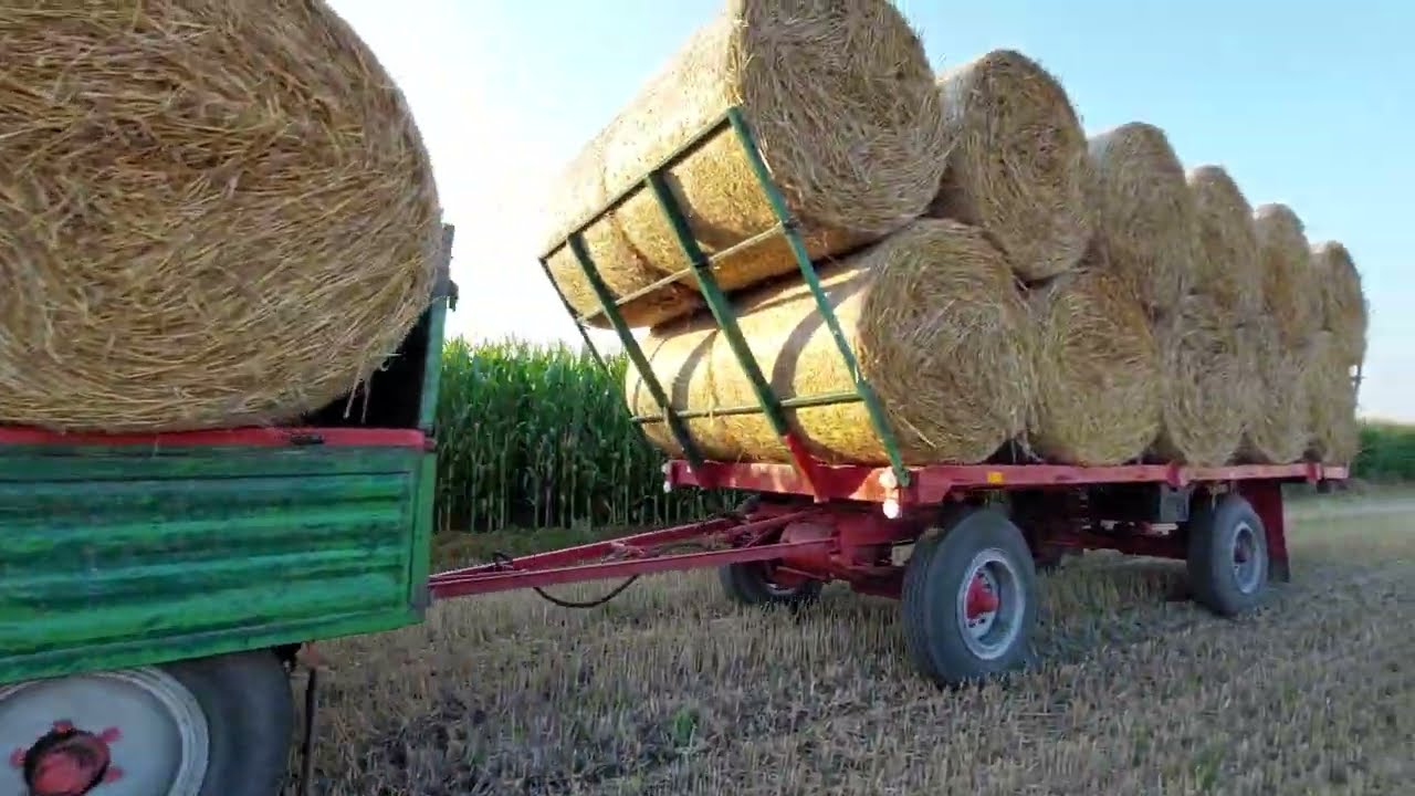 Zwożenie bel słomy 2022 30 bel w 10 minut 💪💪Valtra A83 Quicke 240P Autosan D-47 IFA 6102