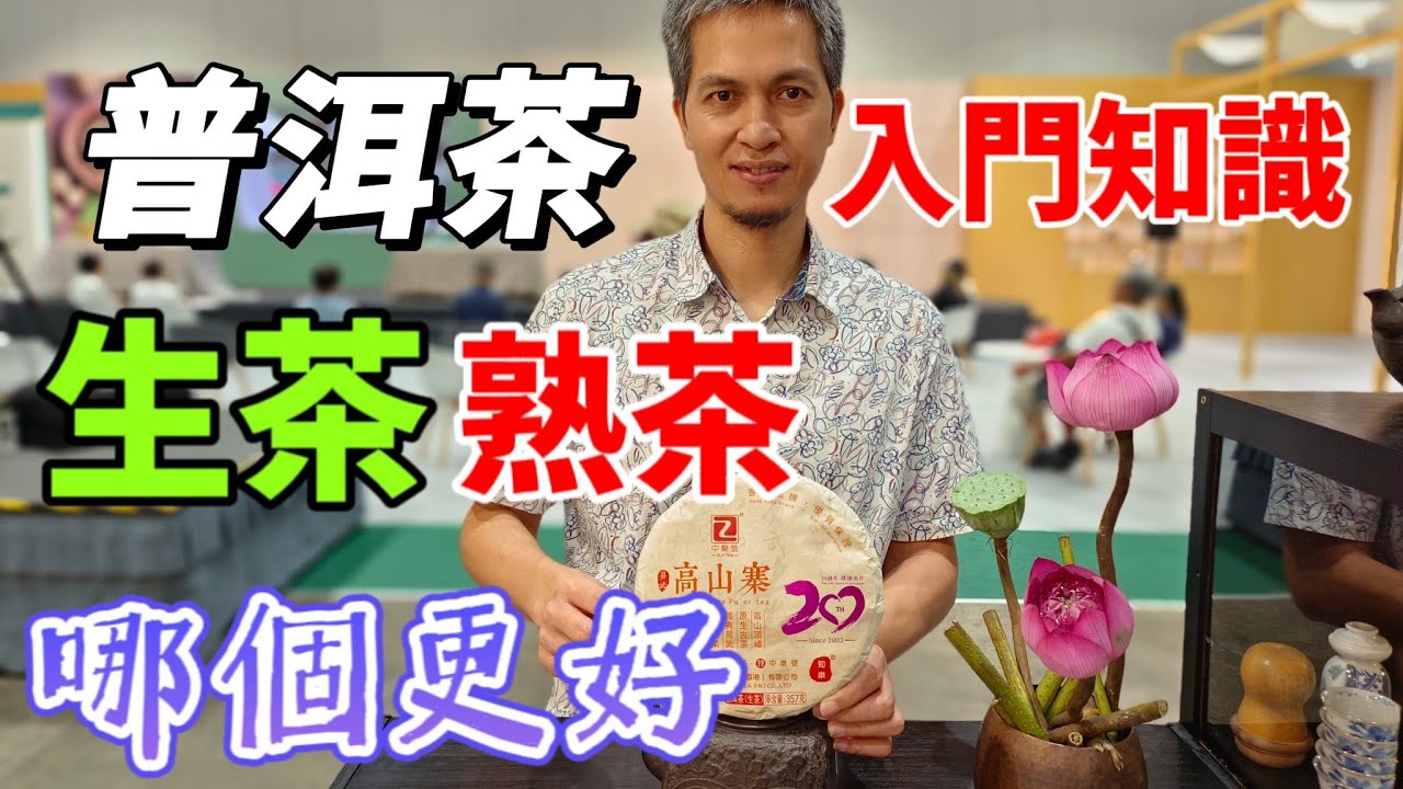 #中樂號 | 普洱茶入門知識，普洱生茶和熟茶到底是哪個更好？古樹普洱茶怎麼鑒定呢？