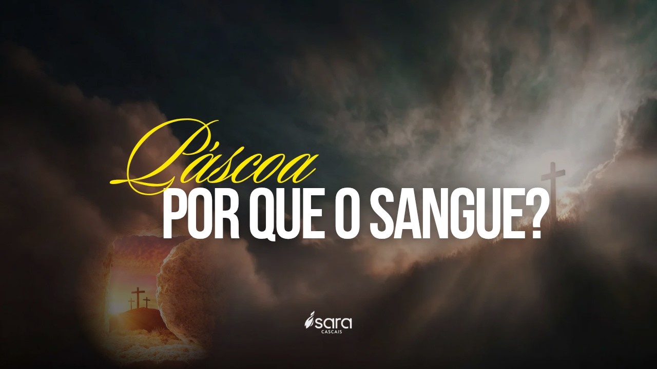 Por que do Sangue? | #SARACASCAIS