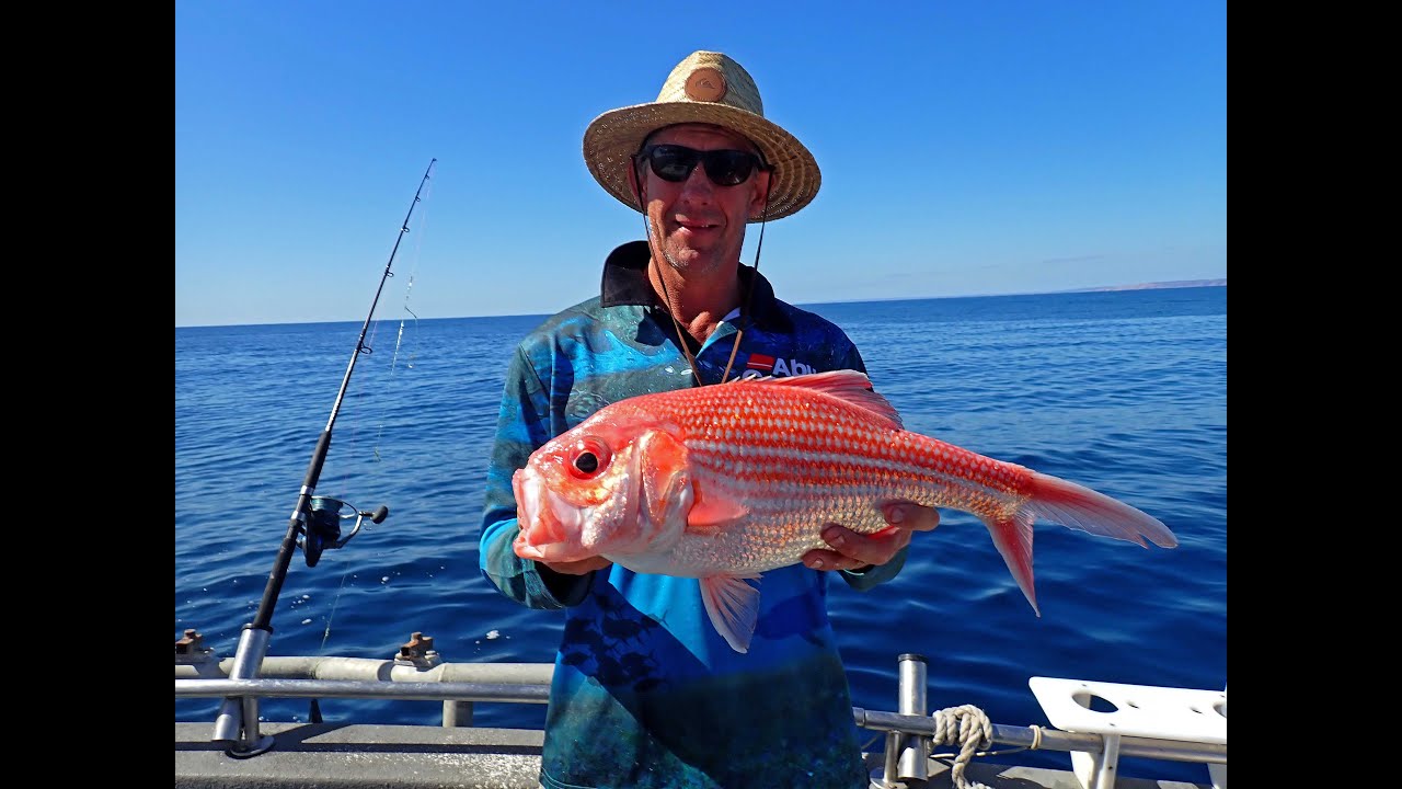 Kangaroo Island fishing trip
