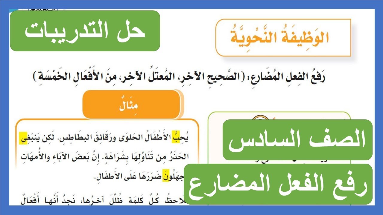 رفع الفعل المضارع ( الصحيح الآخر - المعتل الآخر - من الأفعال الخمسة ) الصف السادس الابتدائي