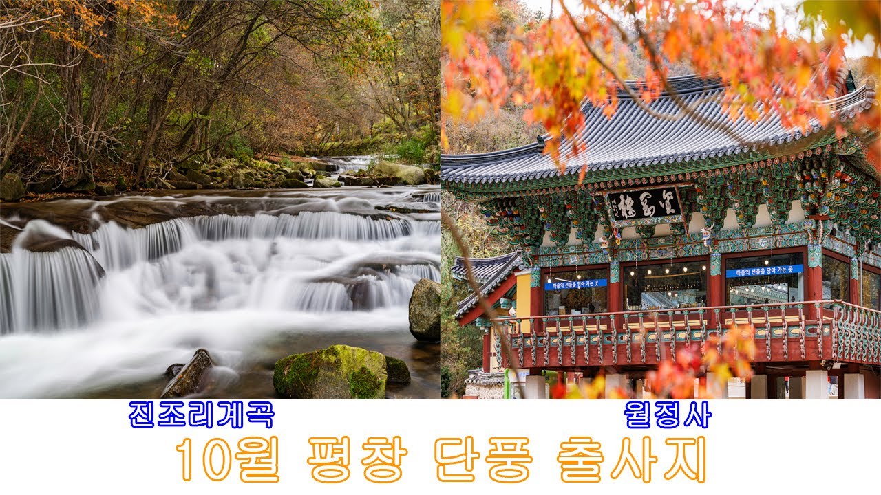 10월 평창 단풍 출사지(진조리계곡, 월정사)