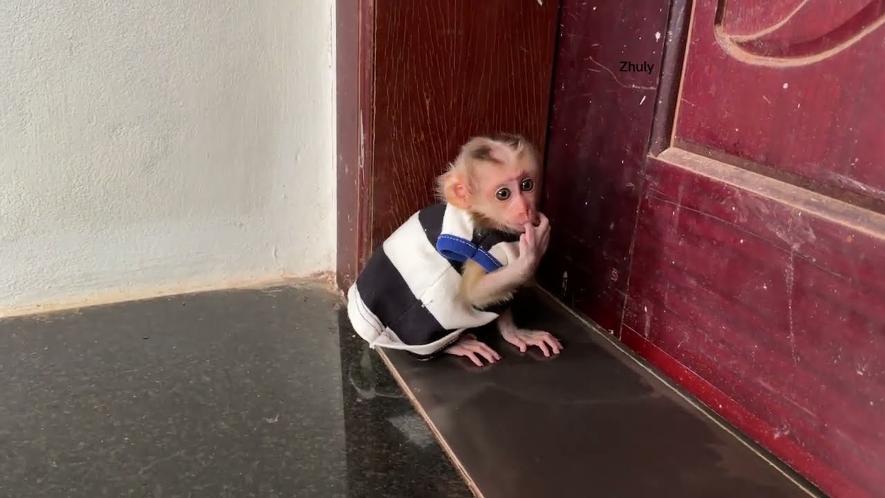 Zhuly Disapp-Sit Near The Wall Waitinq Dad Back Market