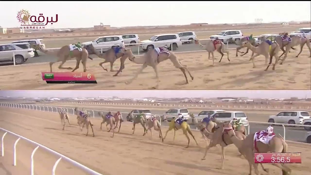 ش7 اثارة لـ فهد طالب راشد الشريم المري (مهرجان ولي العهد بالسعودية 2-8-2022) لقايا بكار 6:21:76