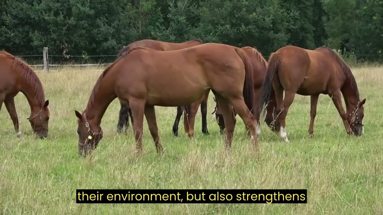 Horse Harmony: Unveiling the Memory Magic 🐴✨ | Nature Facts in 30s | NatureFactsZone