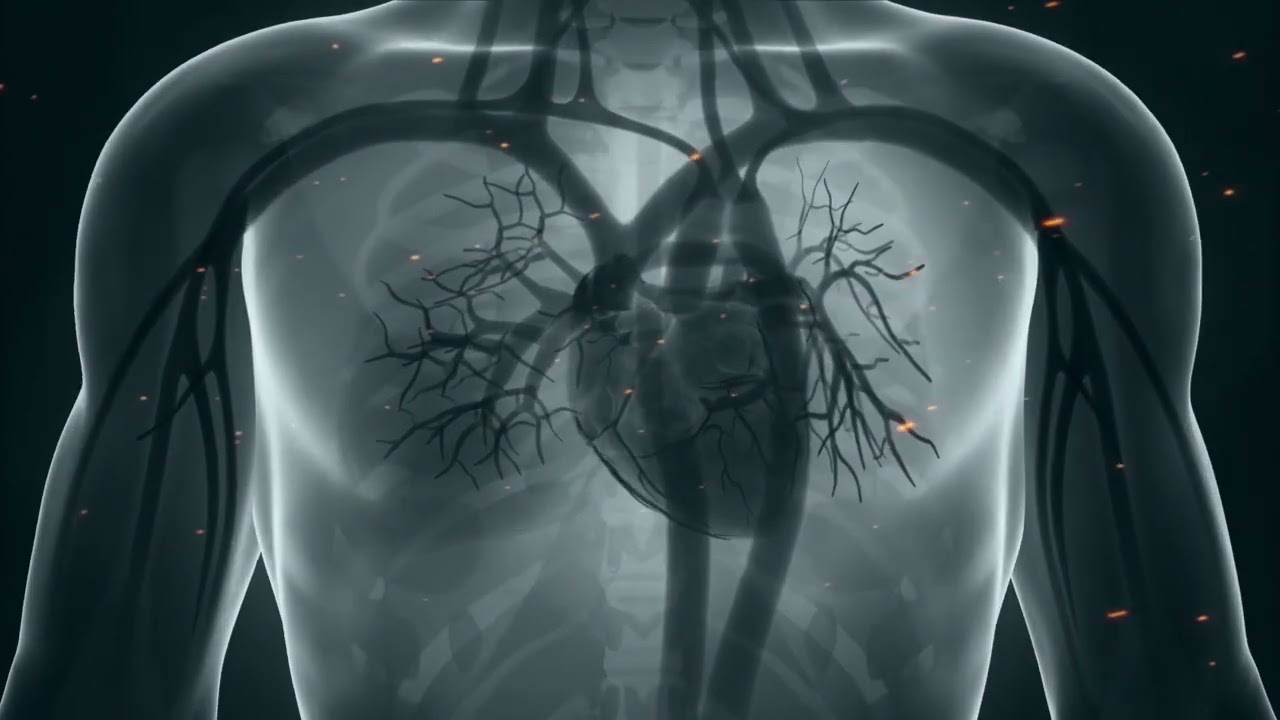 Heart Repair and Treatment Sound Therapy | Vagus Nerve Stimulation Music | Heart Healing Frequency