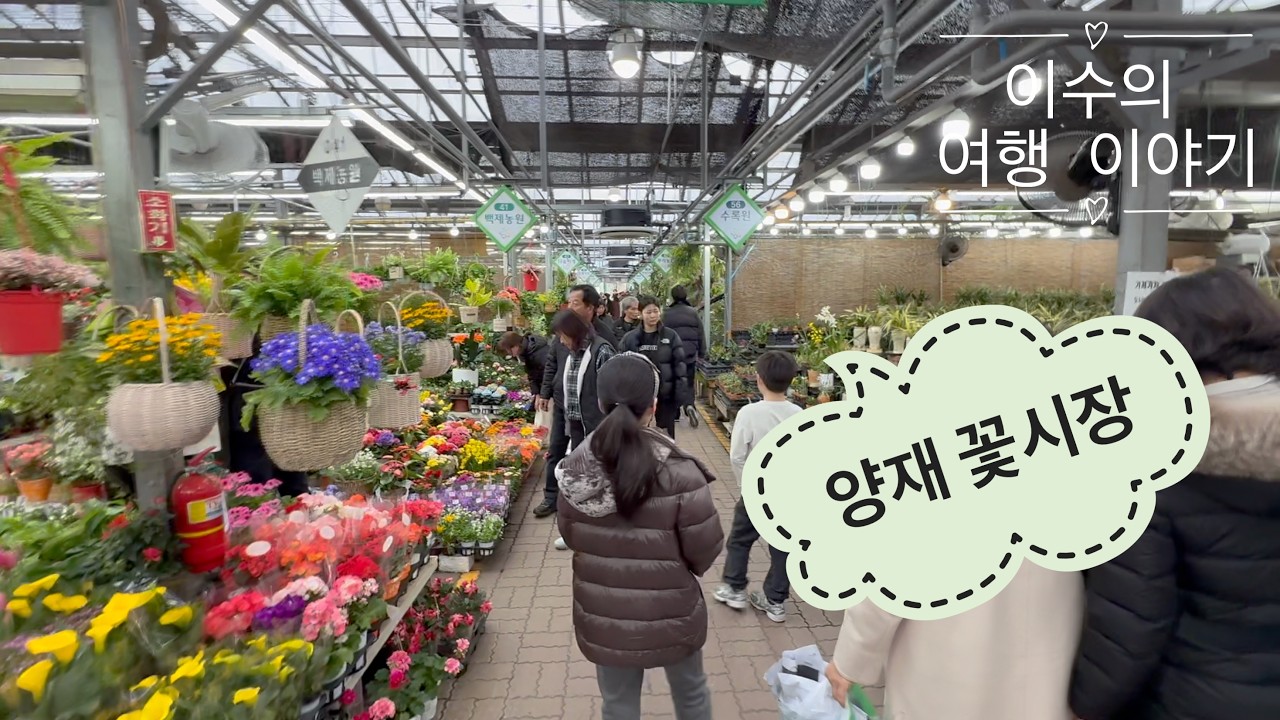 이수의 여행 이야기 (양재 꽃시장, Yangjae Flower Market)