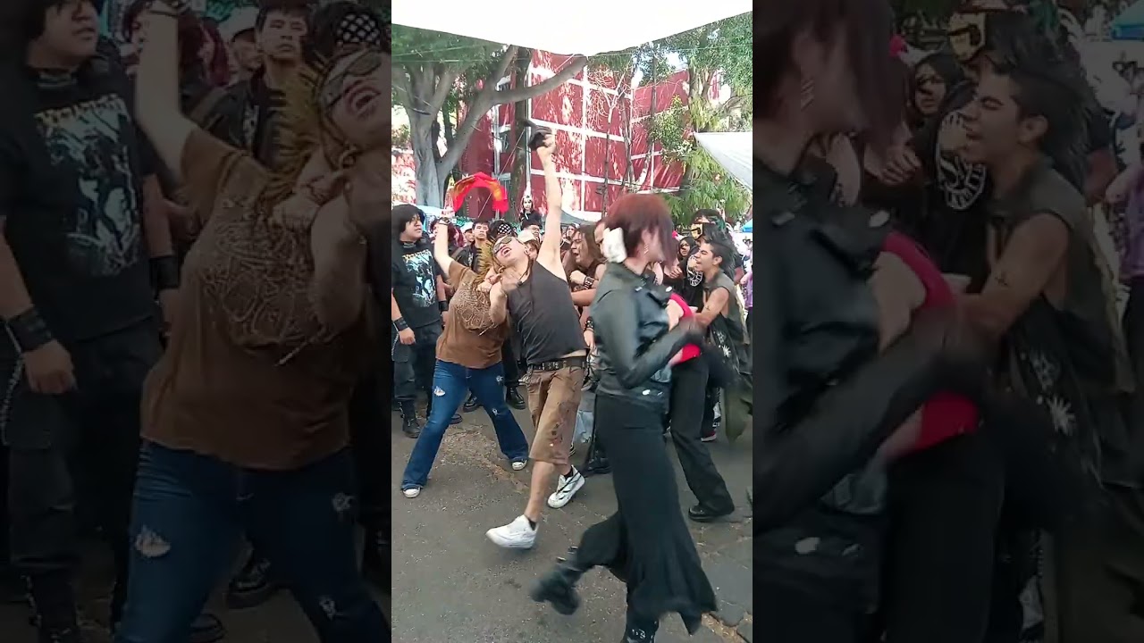 Lengua De Suegra en él Chopo (210226)