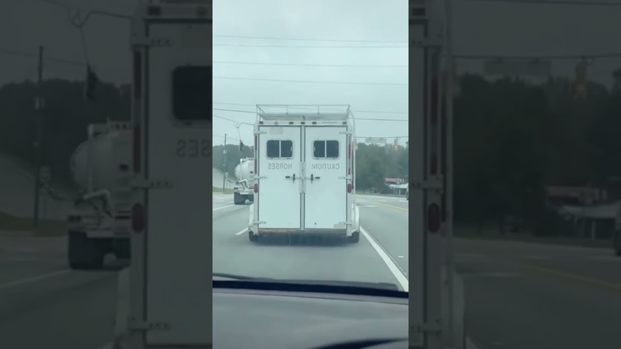 Funny horse🤣🐴#funnyvideos #fyp #foryou #pets #funnyanimal #horse #foryoupage ❤️❤️🔥 #funnypets