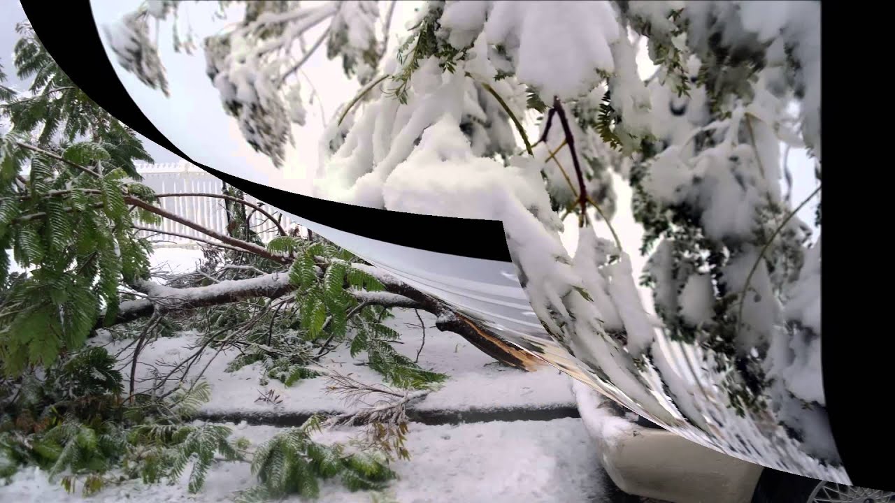 Ариэль в снегу...  Snow in Ariel...