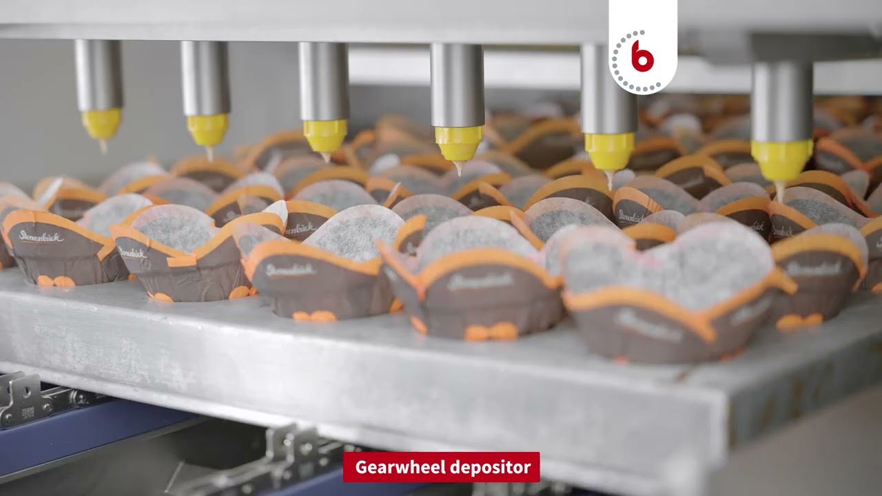 Multifunctional Depositing Line
