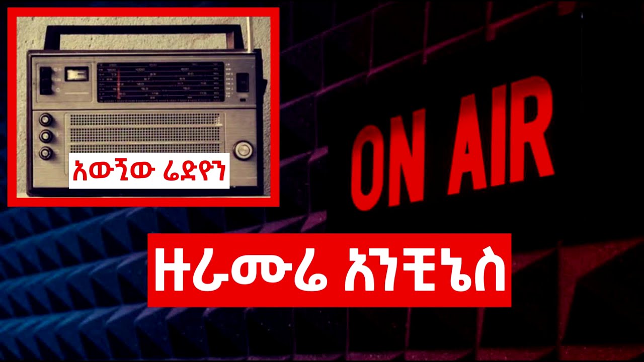 ዙራሙሬ አንቺኔስ