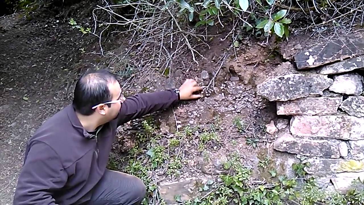 Cova de Mura (Castellano)