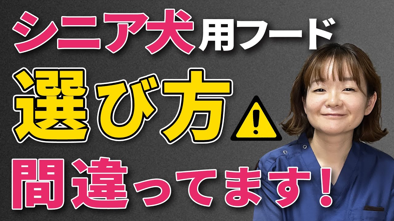 【老犬の食事】愛犬にぴったりのフードがわかる！シニア用に変えるべきか悩んでいる方必見！