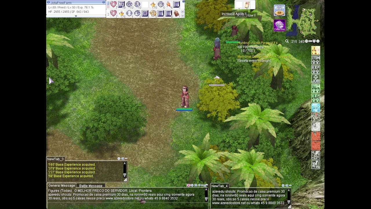 Ragnarok Online LandVerse America Priest lvl 80 nos petite Auto