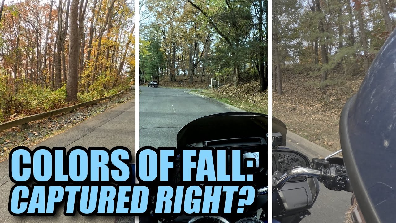 Fall is ALL about the COLOR - how should we capture it?