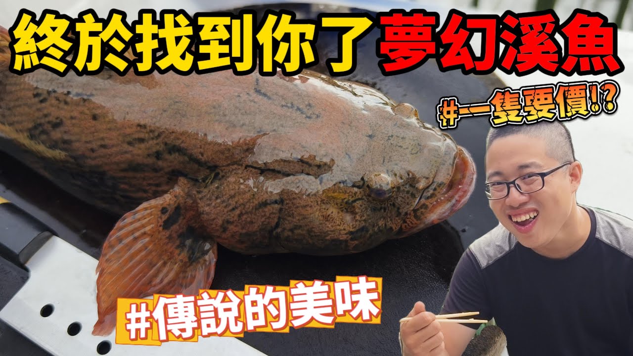 《紀錄筍殼魚》一斤XXX!? 找了好幾年終於找到了 最被善待的外來種 魚虎表示X 極致的美味筍殼魚王!菜園拔筍囉#抓海鮮 #料理