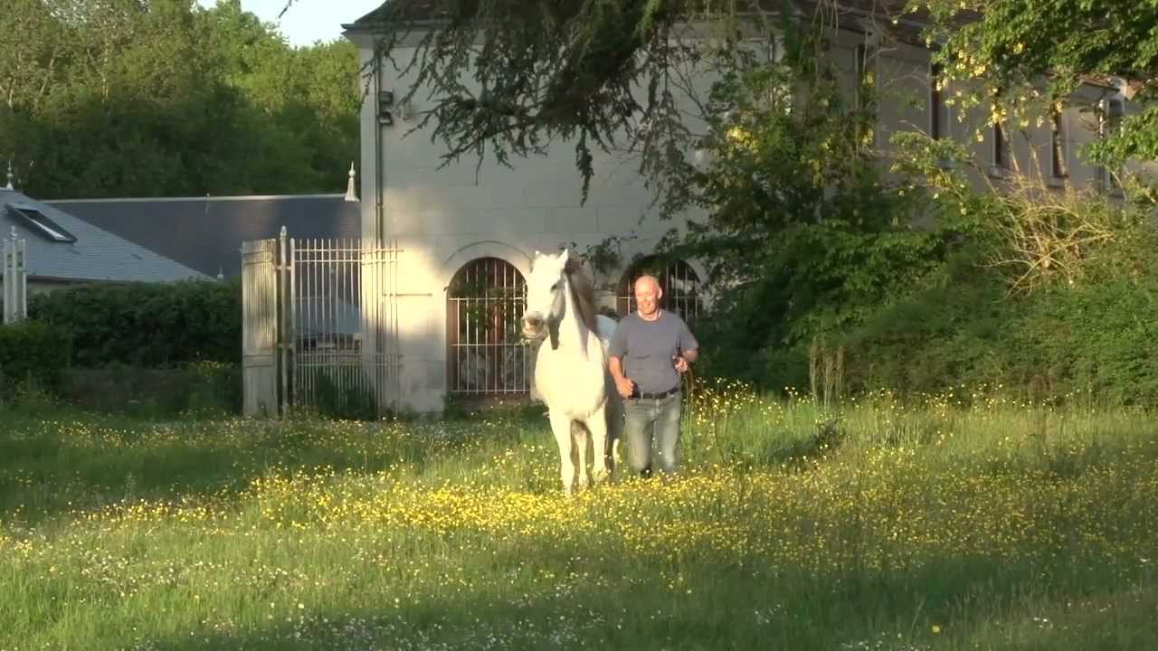 Thomas & Youshka: Grazing at Liberty