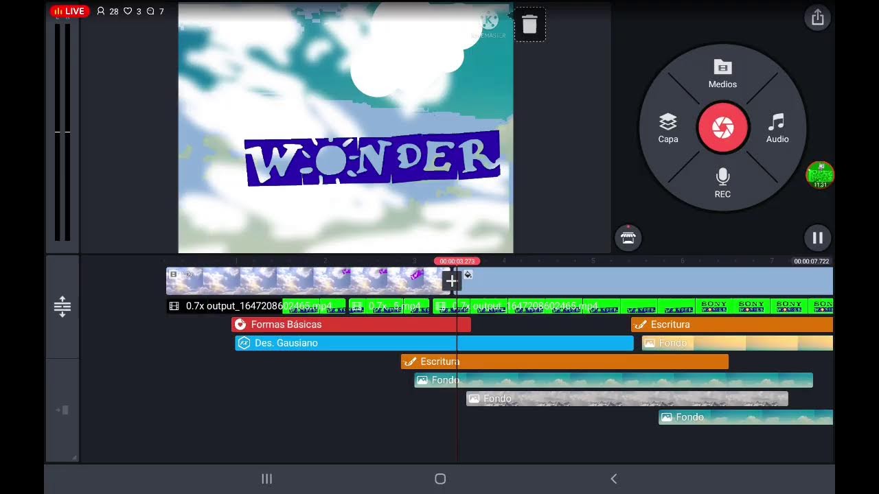 Sony Wonder Logo Remake (Live)