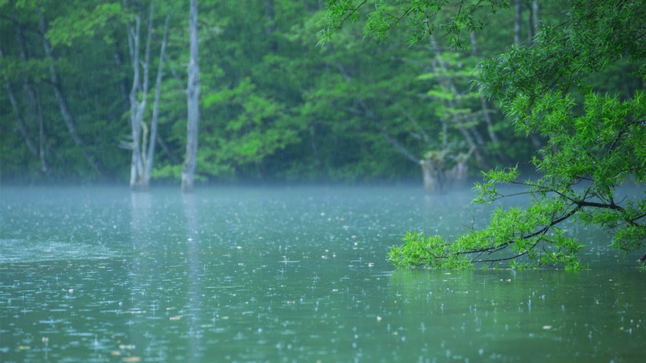 Calm piano and gentle rain - Relaxing music for sleep