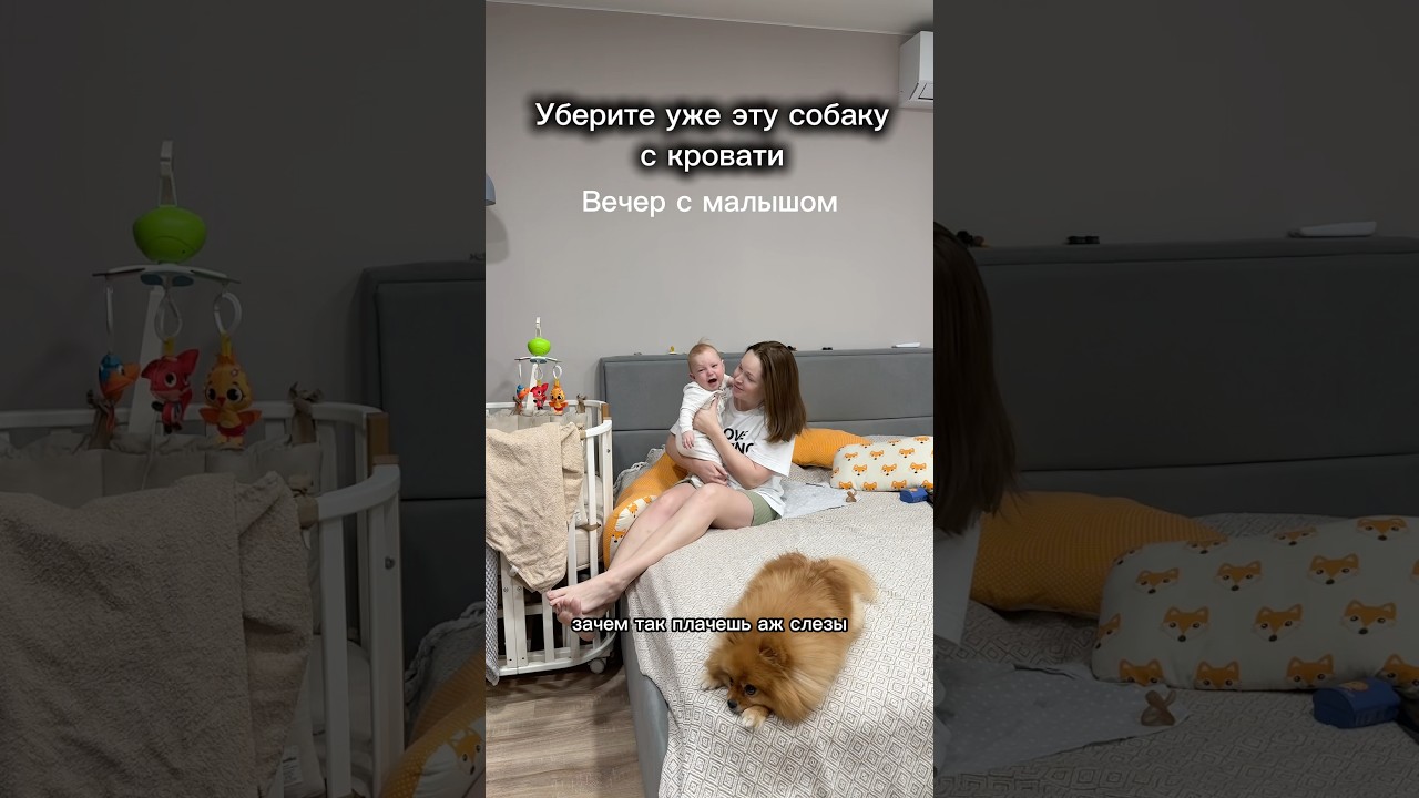 Вечер с малышом. Как мы ухаживаем за питомцами &hearts;️