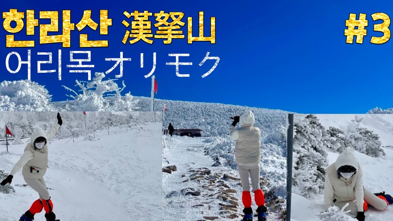 [한라산 3 漢拏山] 겨울 한라산🗻4.5시간 산행 冬の漢拏山🗻4.5時間山登り #국립공원 #어리목 #国立公園 #オリモク