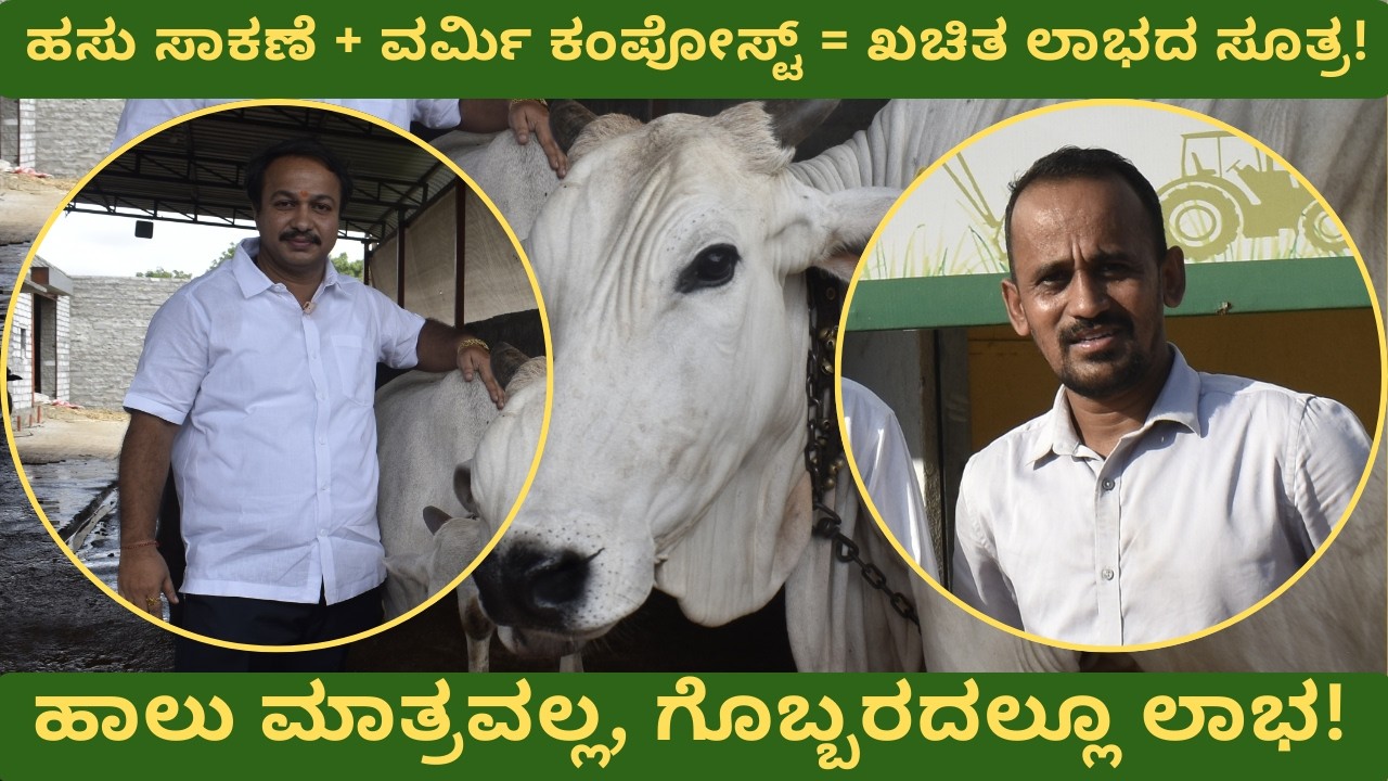ಹಾಲು ಮಾತ್ರವಲ್ಲ, ಗೊಬ್ಬರದಲ್ಲೂ ಲಾಭ! 🐄🪱 #vermicompost #dairyfarm #trending #farming #kannada #karnataka