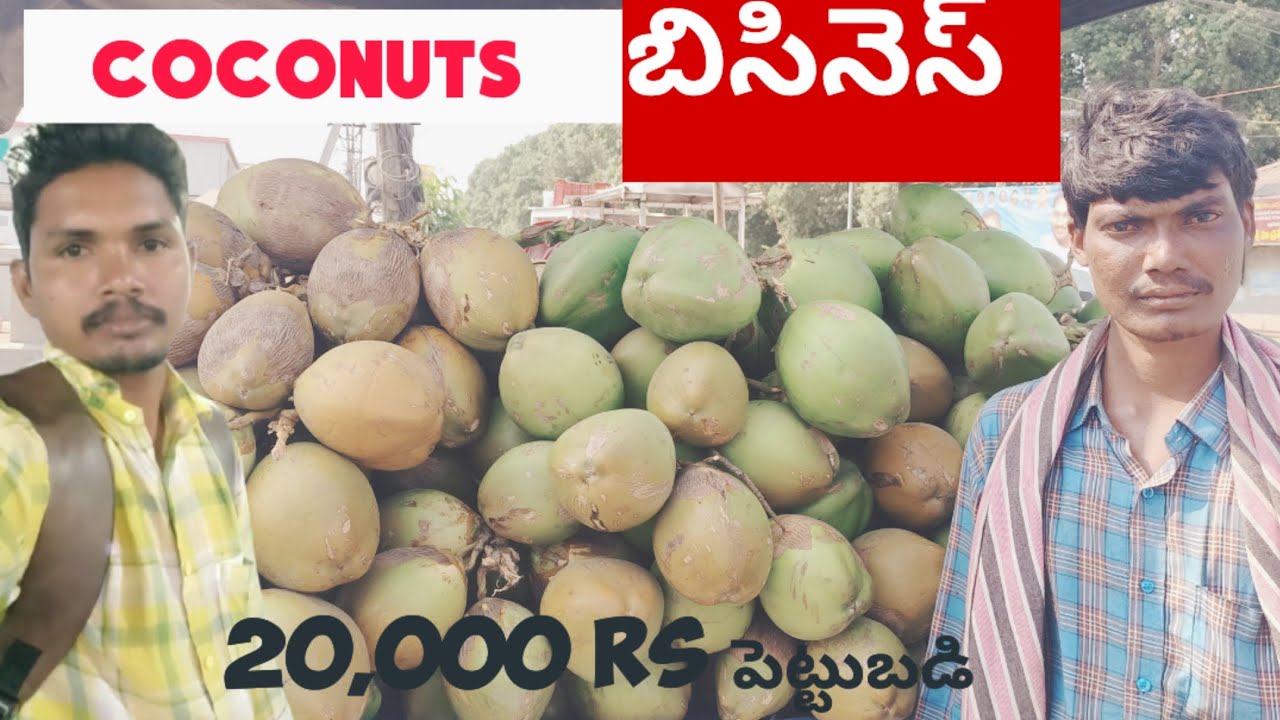 COCONUT బిజినెస్ ఐడియా IN TELUGU / కొబ్బరి కోయ బిజినెస్ ఐడియా /KABBARI KAYA BUSINESS IDEA