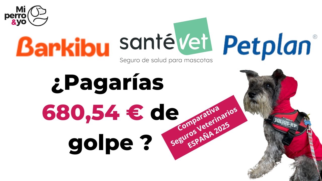 &iquest;Cu&aacute;l es el MEJOR seguro para MASCOTAS 2026? Barkibu Sant&eacute;vet o Petplan #perros #gatos #saludanimal