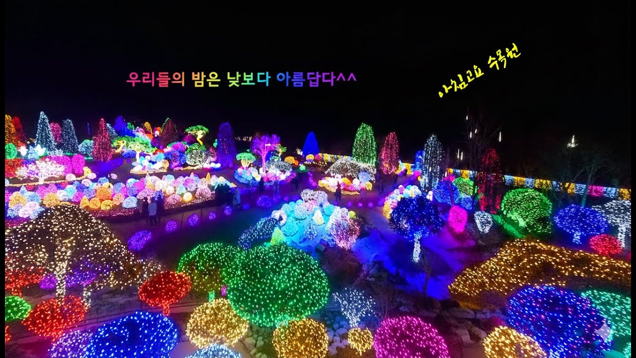 이보다 화려한 겨울이 있을까요?