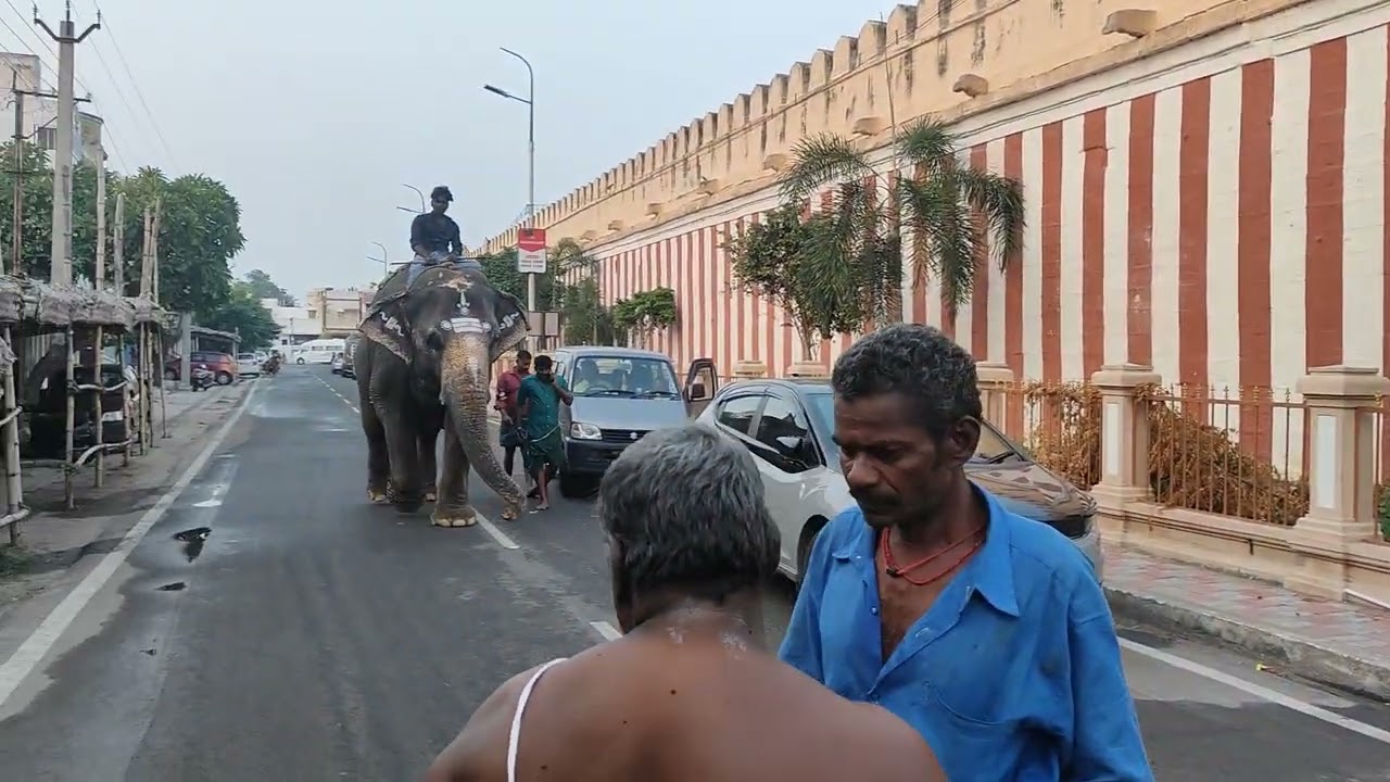 Srirangam, thulasthanam ranganathar madaveethi bajanai 