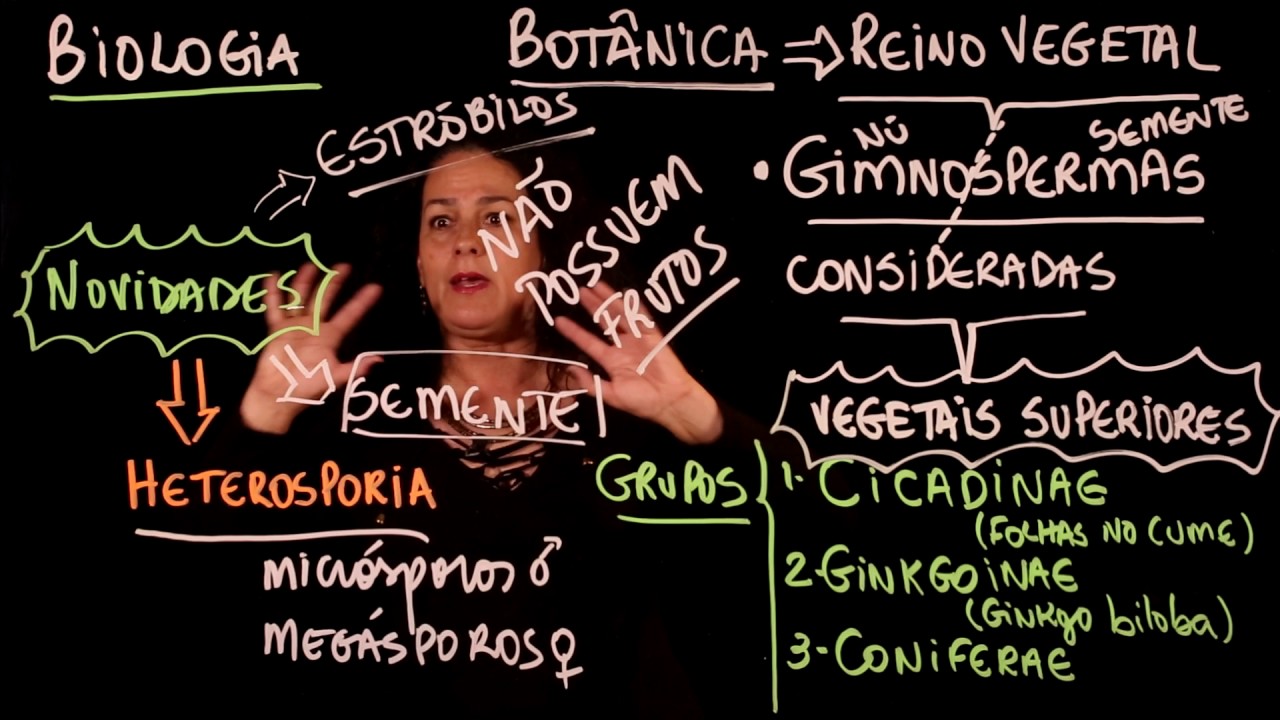 Aula 80 REINO PLANTAE Botânica Gimnosperma - Aulas ENEM