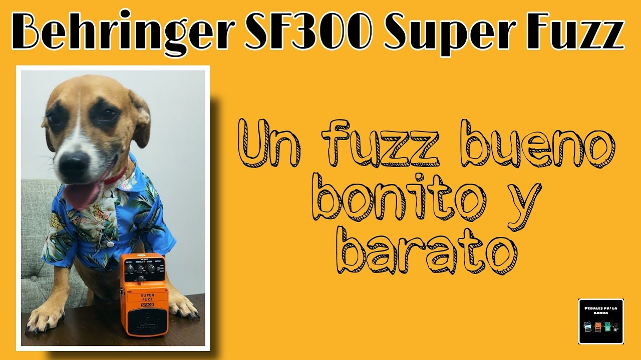 Behringer SF 300 Super Fuzz, en español