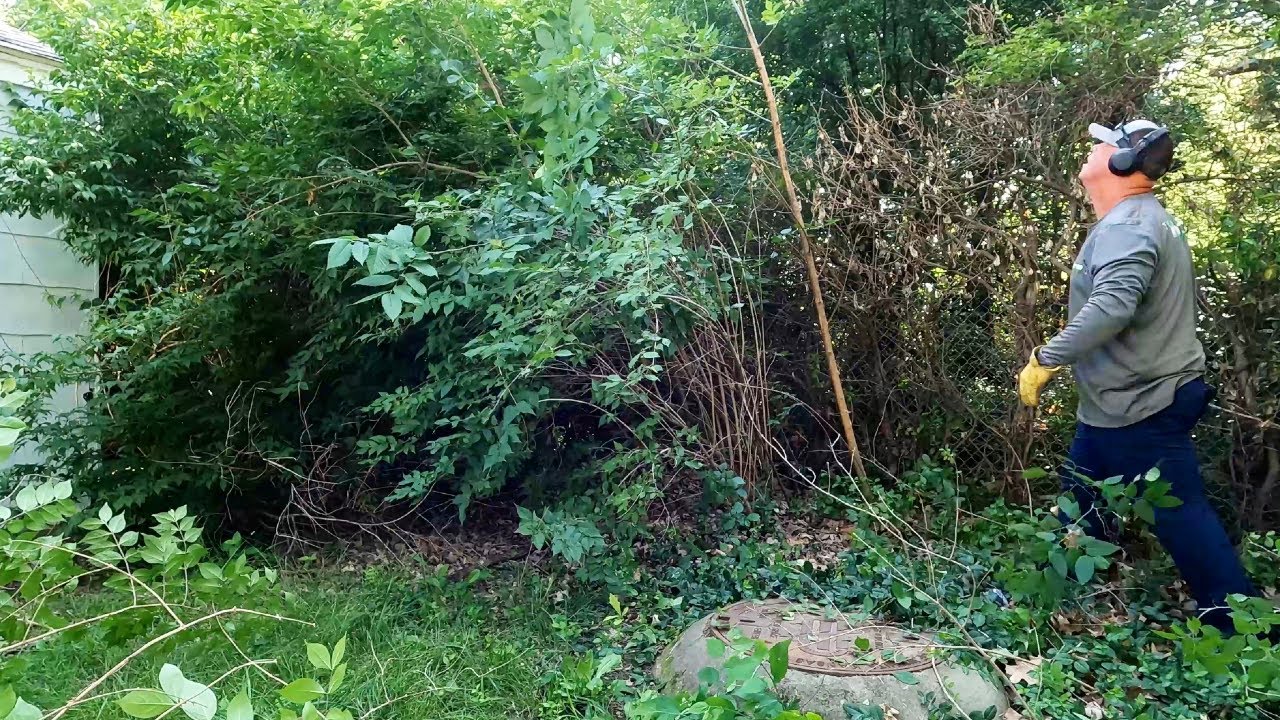 City Property INVADES Homeowner's Backyard Knocking Down Fence