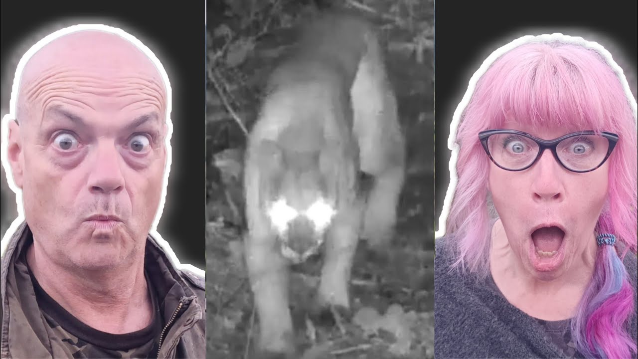 Vancouver Island Wildlife cams (Episode1)