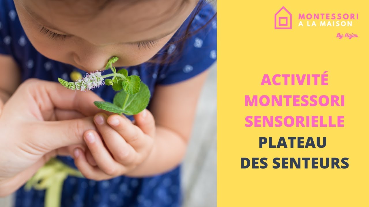 Activité Montessori Sensorielle : Plateau des Senteurs