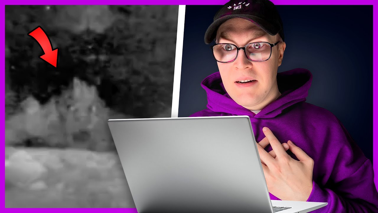 Internetin karmivimmat videot