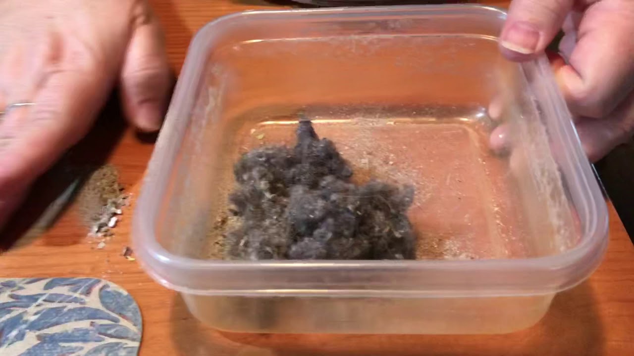 Hoover Fusion Pet Cordless Stick Vac Unboxing and Review
