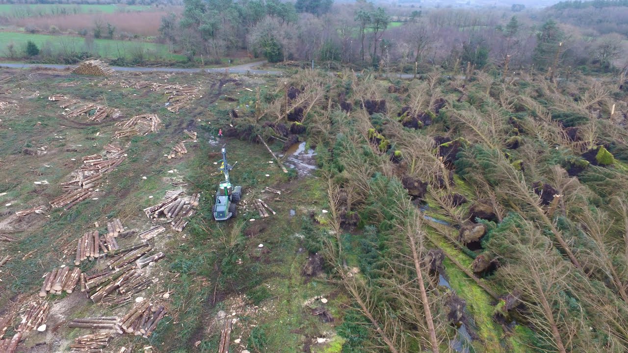 🌲🌲Abattage après la tempête Ciaran par l'Ets Lautodé, John Deere 1470G/bûcheron/John Deere 1110E