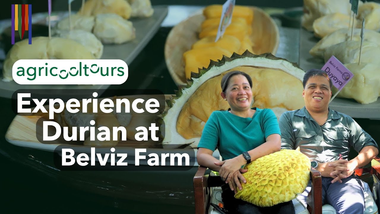 Why This Durian Farm Became a Must-Visit Spot in Davao (AgriCoolTours S1EP3)