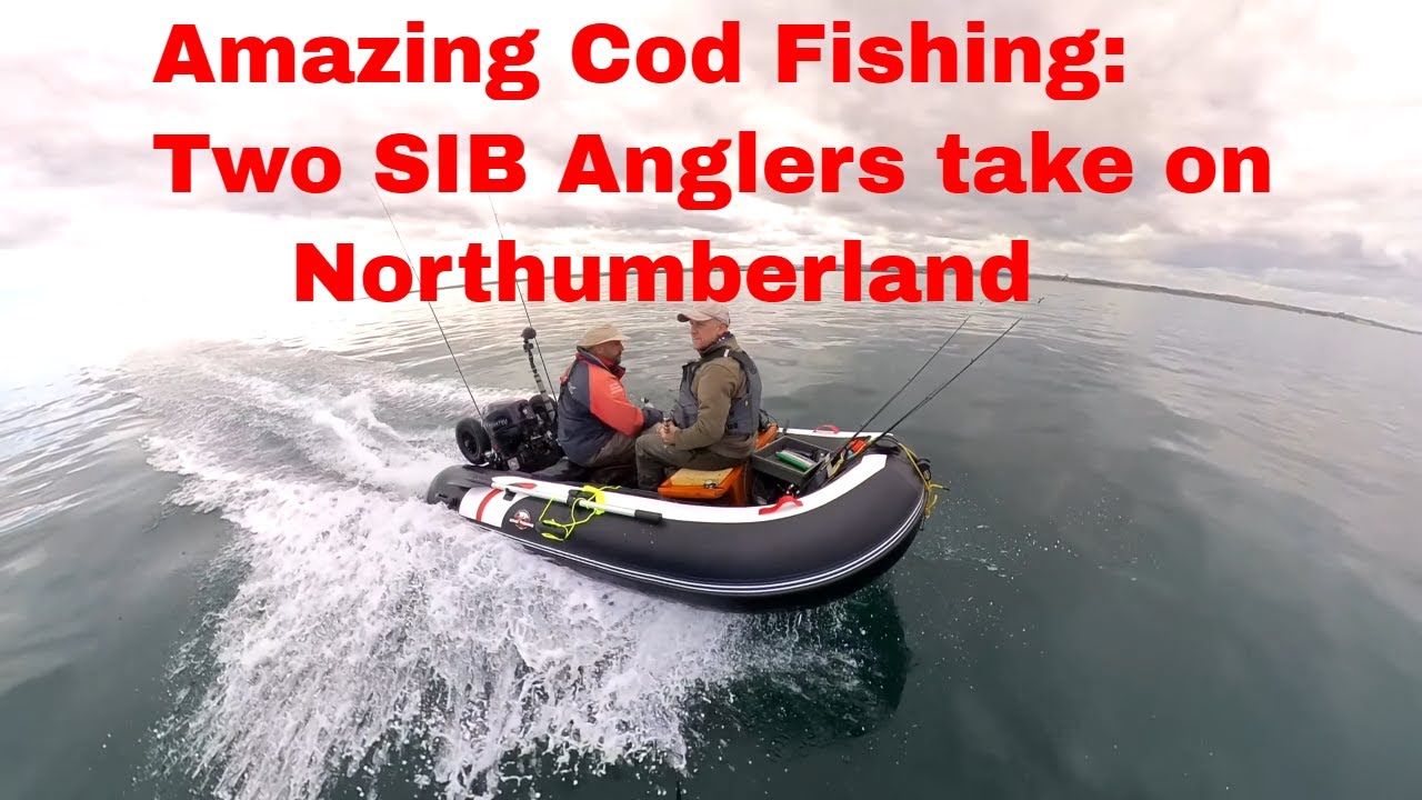 Amazing Cod Fishing: Two SIB Anglers Take on Northumberland!