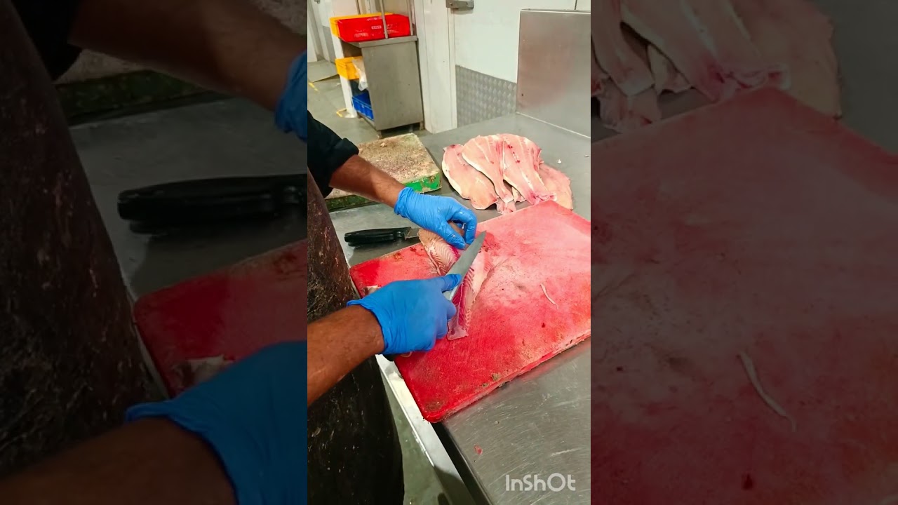 Fish boneless basa India basa     #basafish #bonelessfish #seafish #fish #cutiing